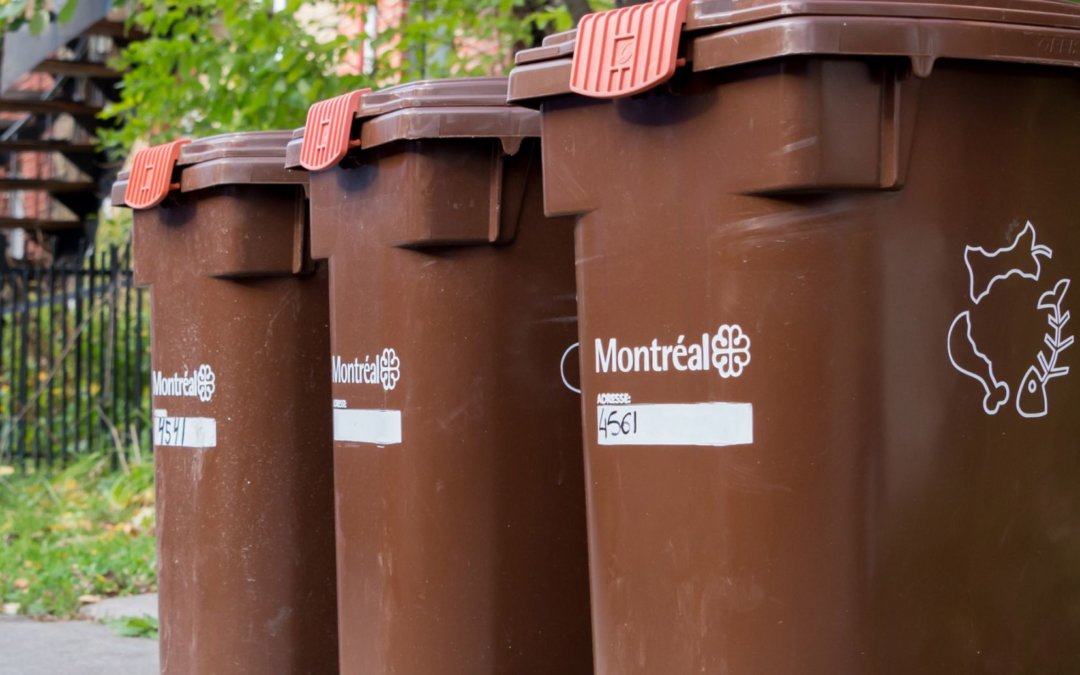 A Fully Compliant Composting Centre